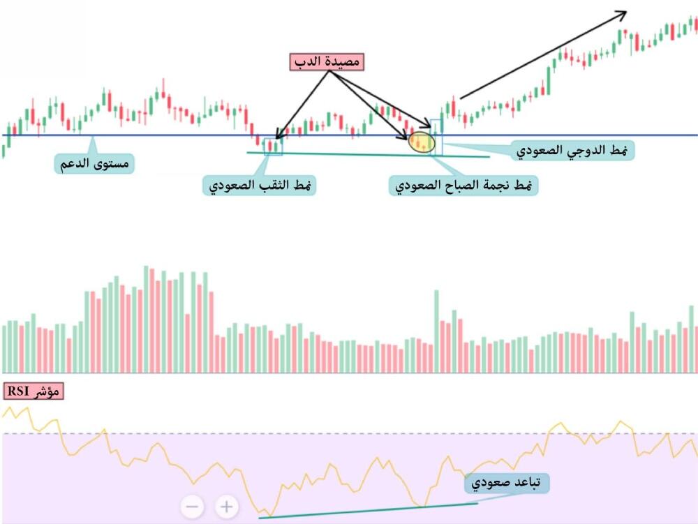 LiteFinance: أمثلة على مصيدة الدببة