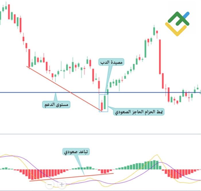 LiteFinance: أمثلة على مصيدة الدببة