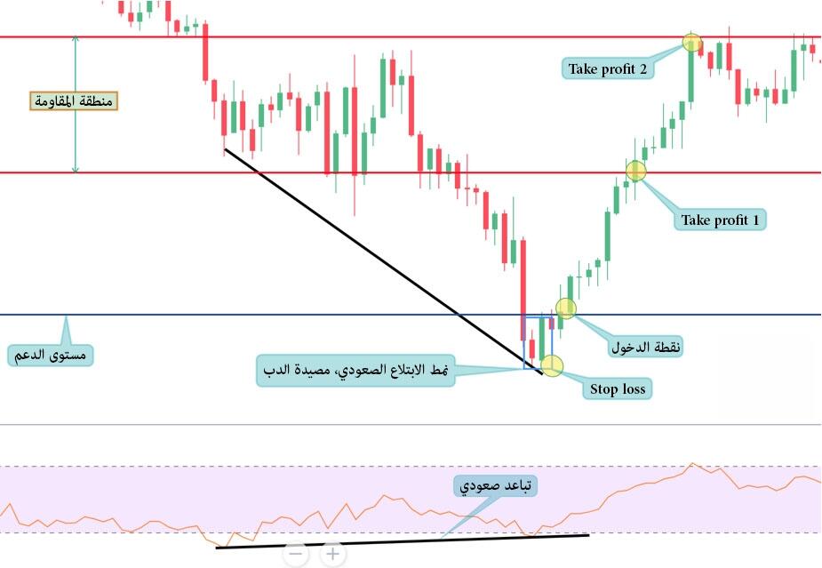 LiteFinance: كيفية تحديد مصيدة الدببة - التحليل الفني لمصيدة الدببة