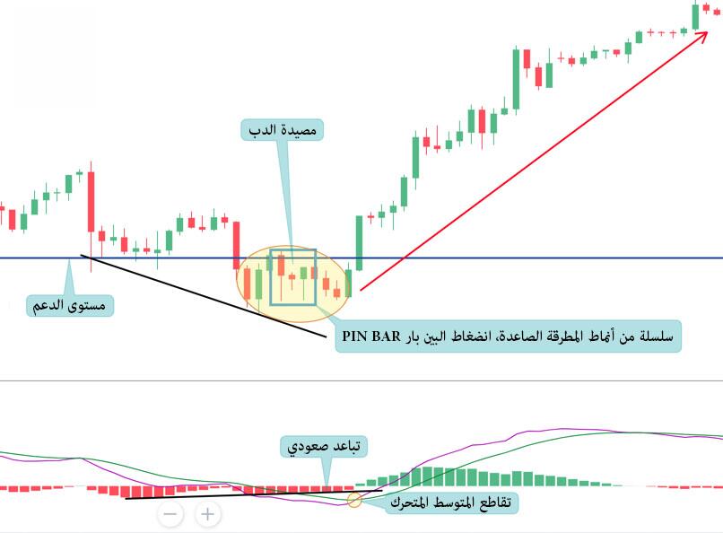 LiteFinance: النمط رقم 2 – شمعة الدبوس المضغوط