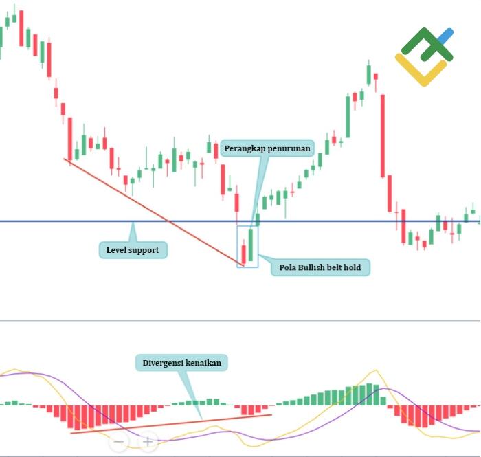 LiteFinance: Contoh bear trap
