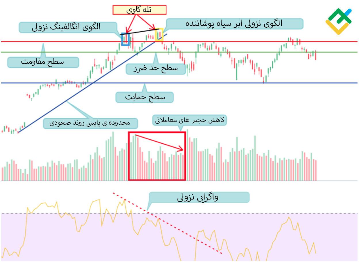 لایت فایننس: