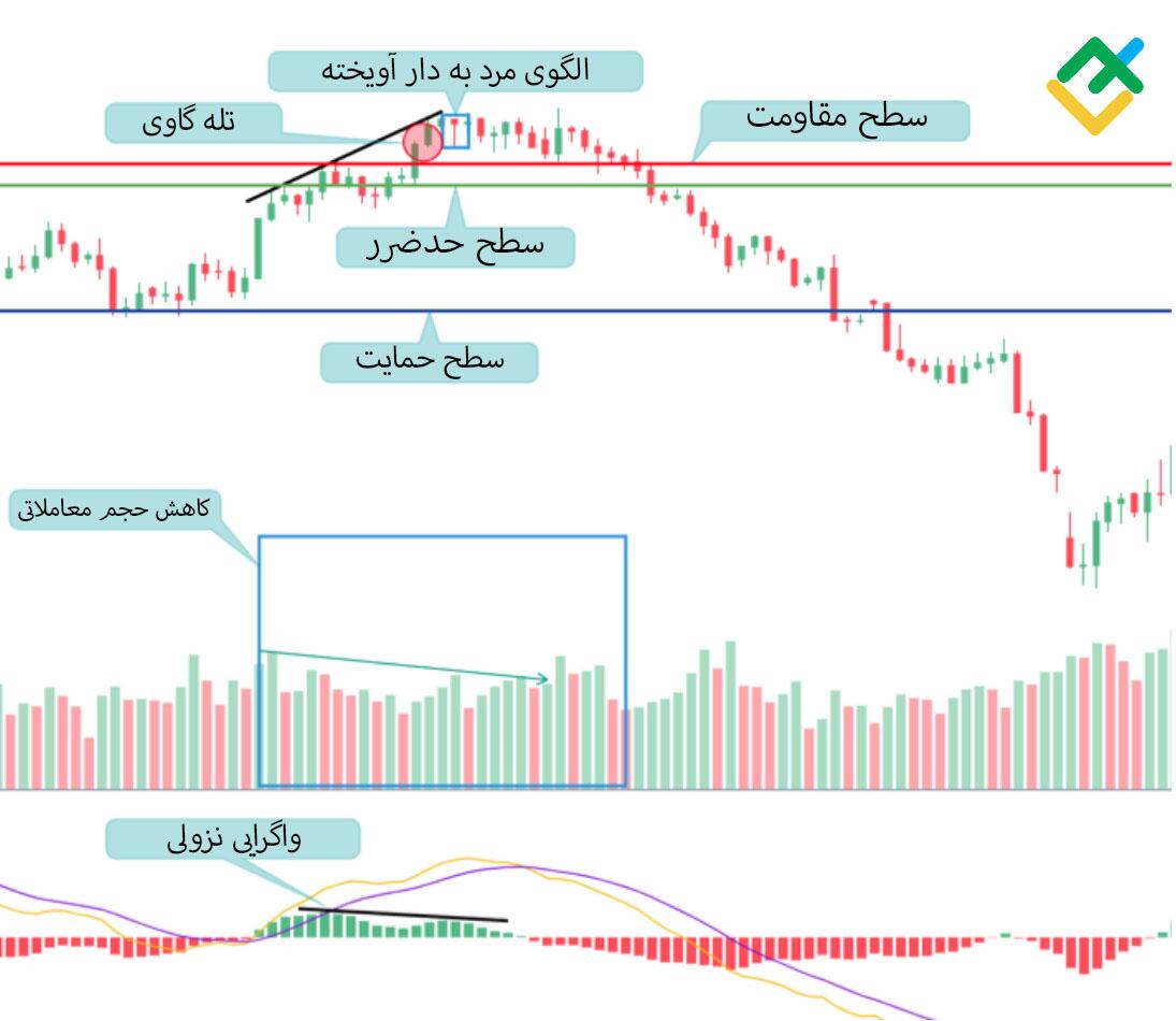 لایت فایننس:
