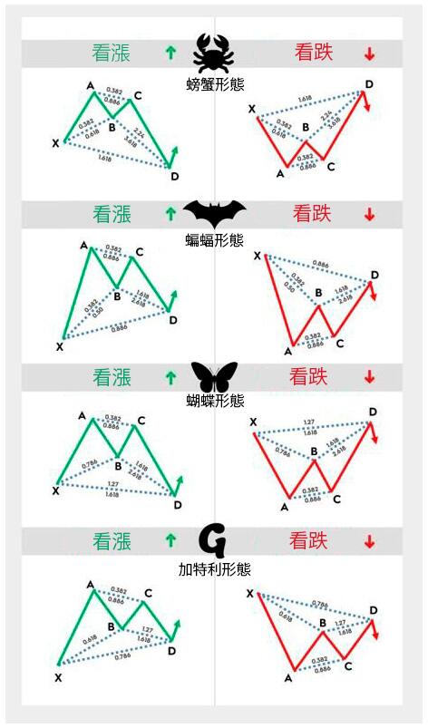 萊特金融: 諧波形態的類型