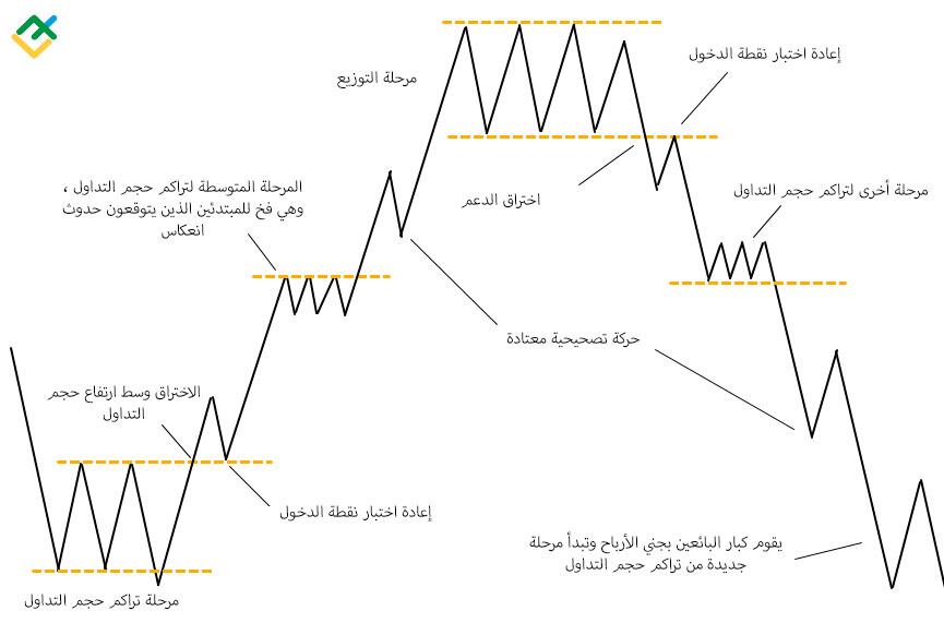 LiteFinance: الجمع بين حركة السعر وتحليل سبريد الحجم (VSA)
