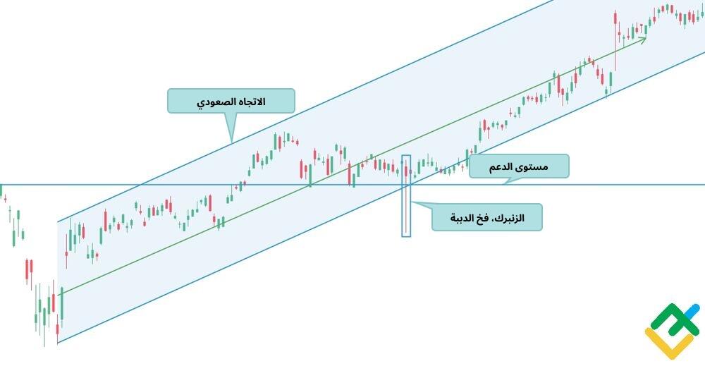 LiteFinance: نمط الزنبرك