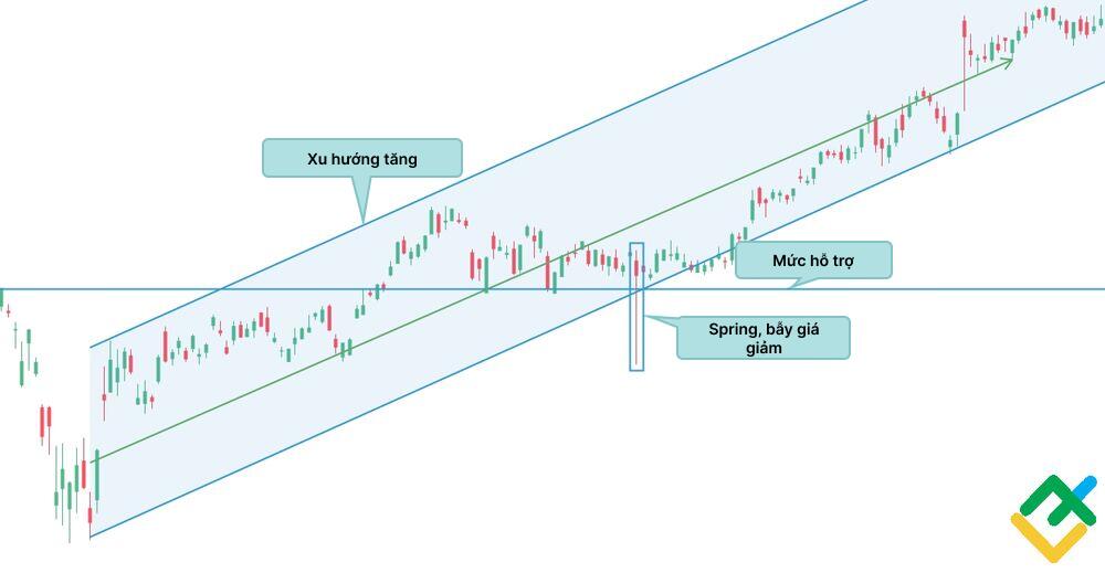 LiteFinance: Pattern The Spring