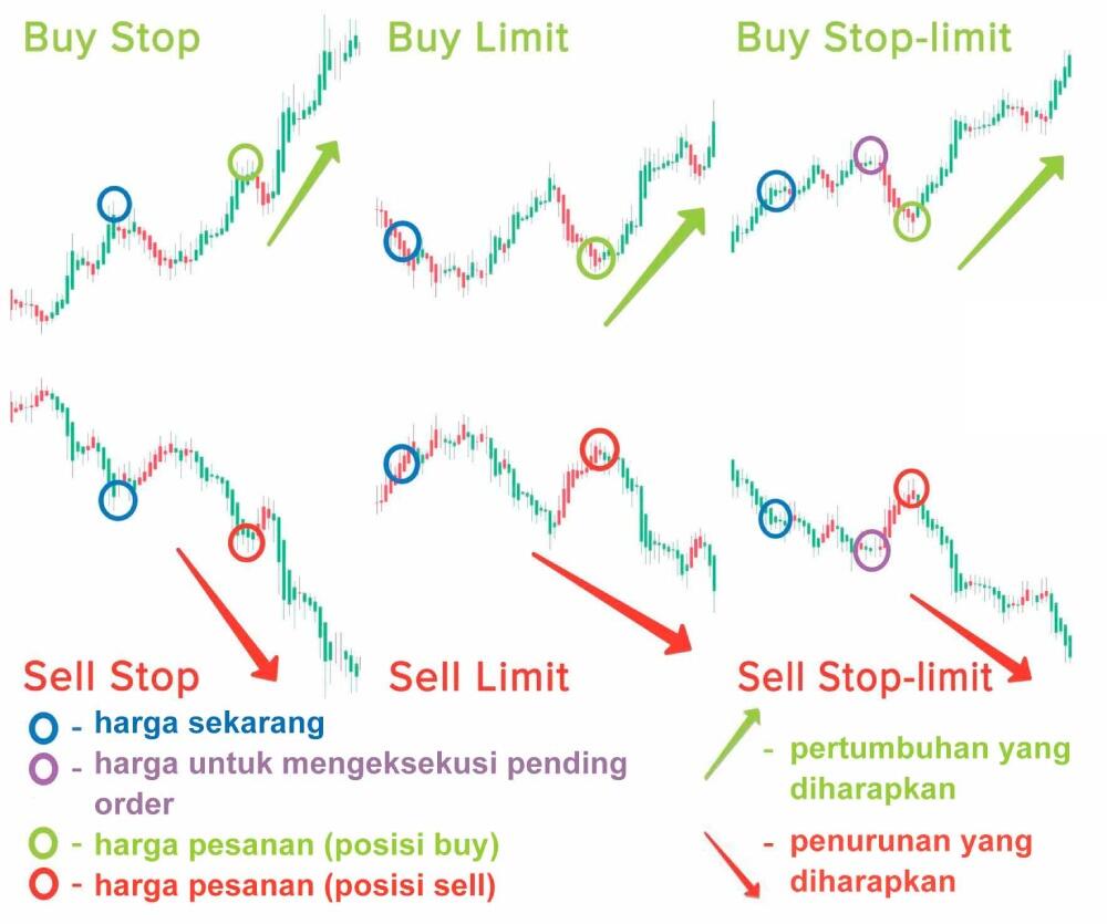 LiteFinance: Jenis-jenis Order