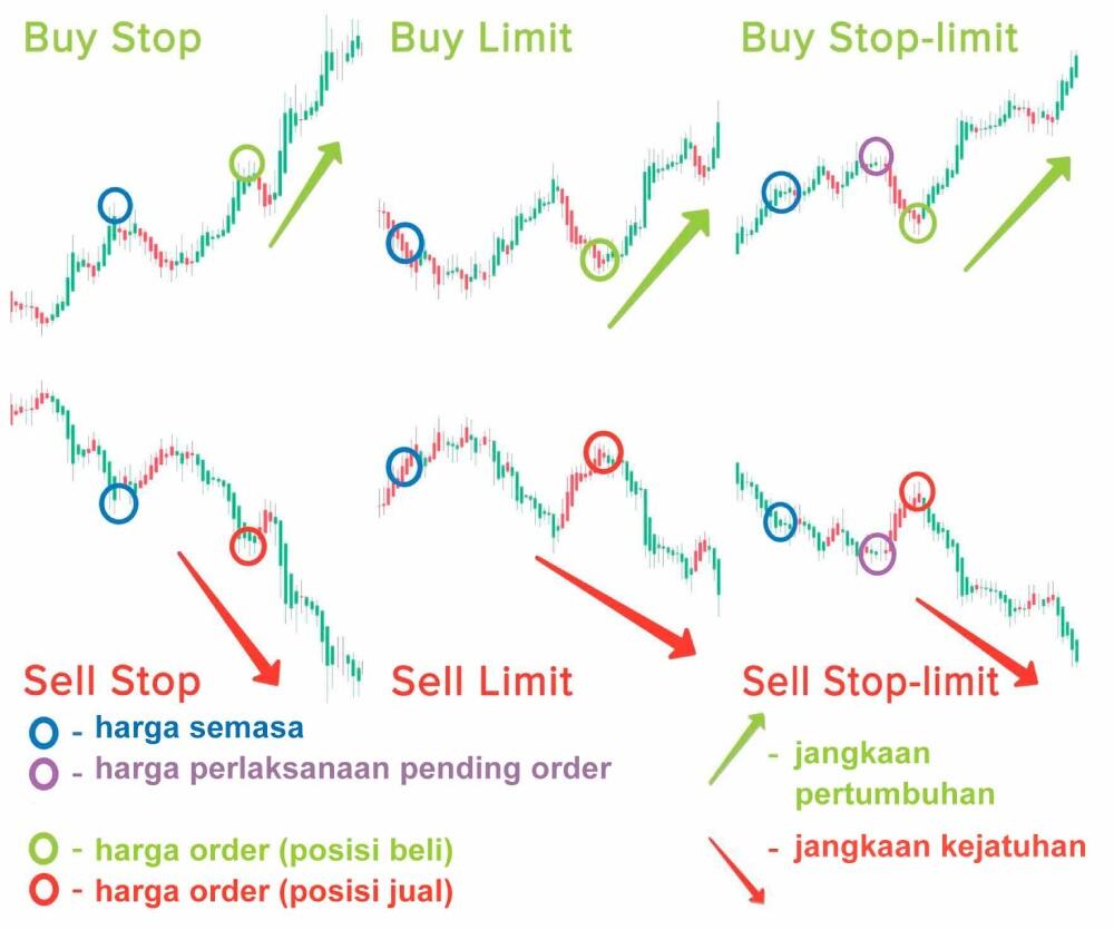 LiteFinance: Jenis jenis Orders