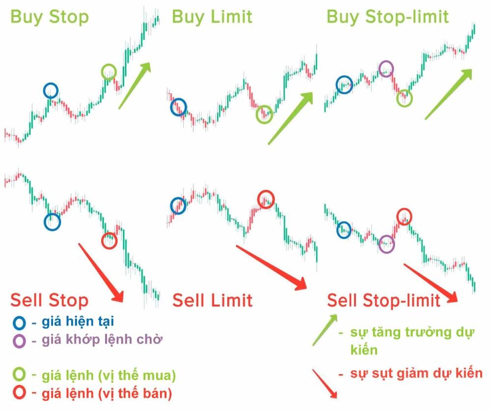 LiteFinance: Các loại lệnh trong Forex