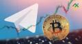 Best Free And Paid Crypto Signal Providers On Telegram