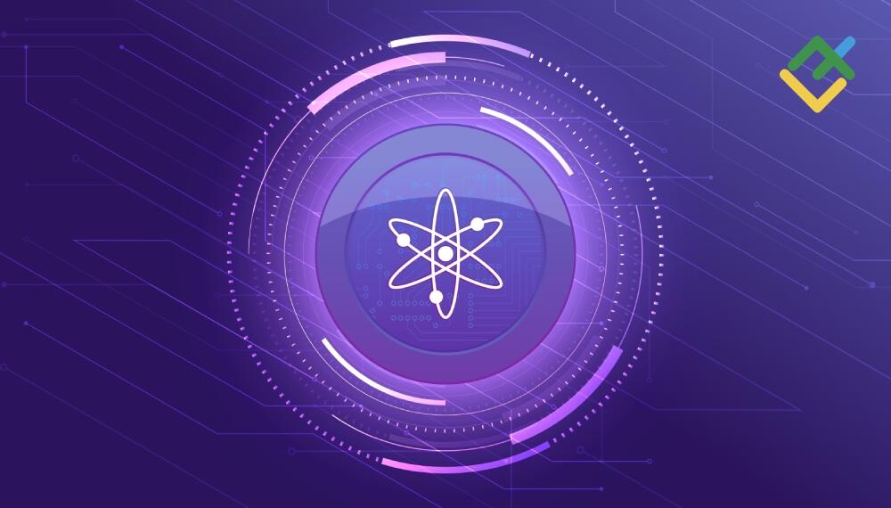 LiteFinance: 8. Polkadot (DOT)