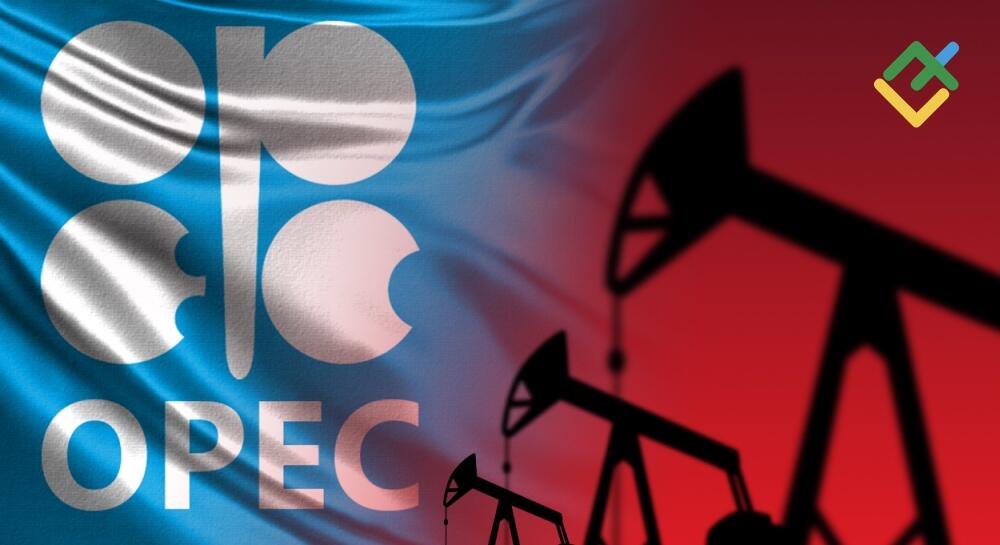 LiteFinance: Commodity Price Volatility