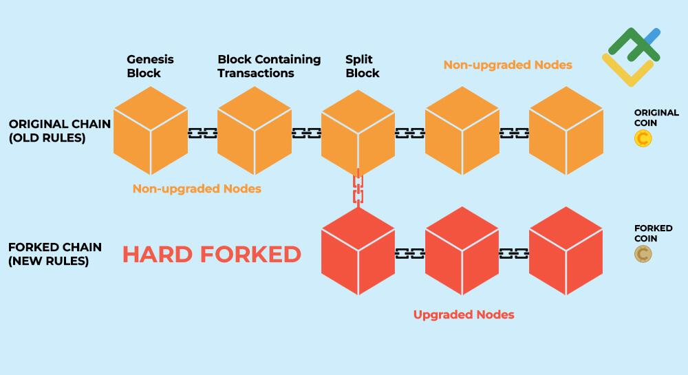 LiteFinance: What is Hard Fork?