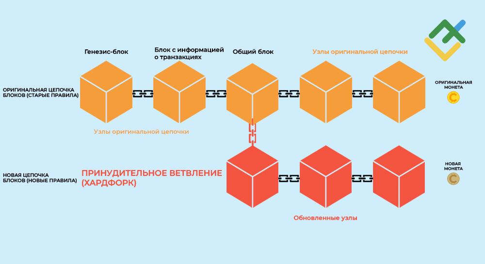 LiteFinance: Что такое хардфорк?