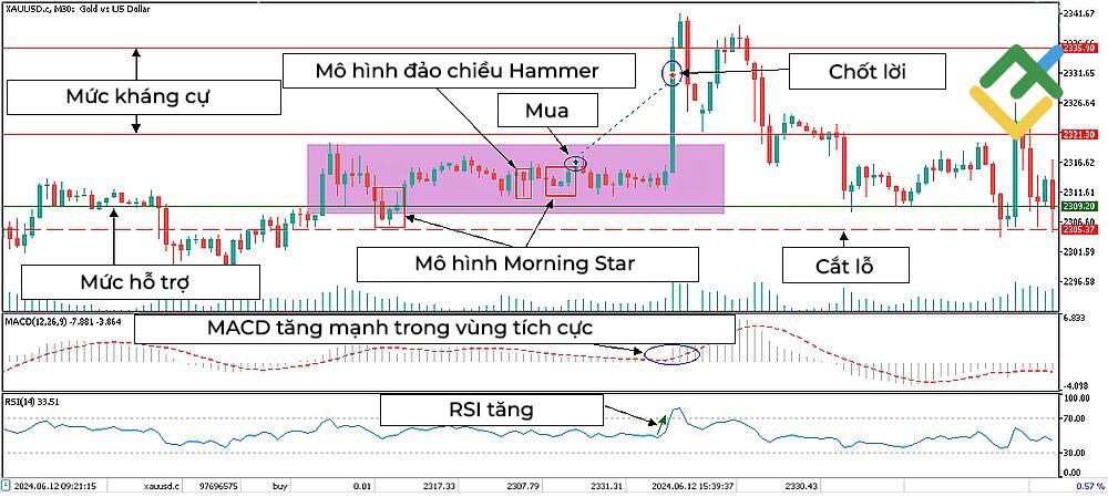 LiteFinance: Sử dụng các mô hình nến tăng giá trong giao dịch: Một ví dụ thực tế