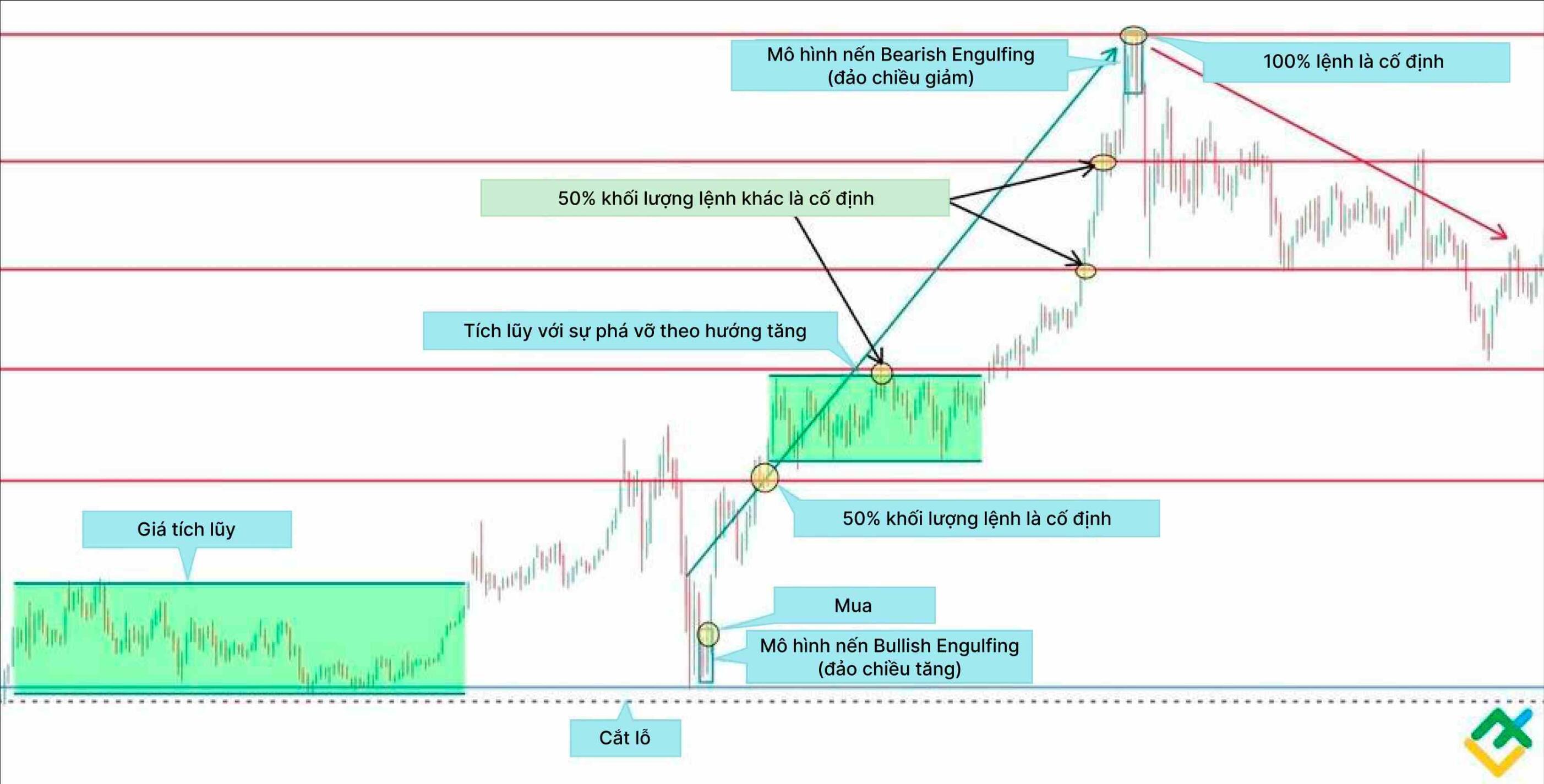 LiteFinance: Các mức hỗ trợ và kháng cự