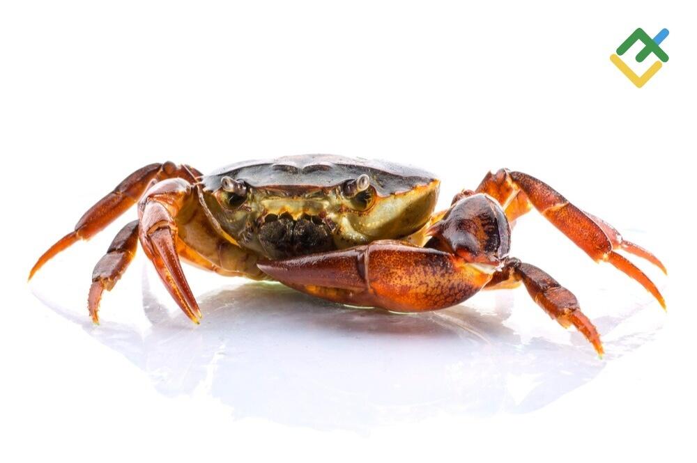 LiteFinance: What Is the Crab Pattern in Trading
