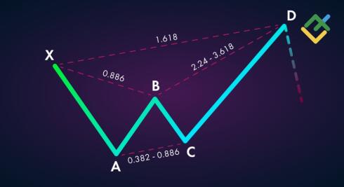 Handel: jak przygotować Kraba na rynku Forex?