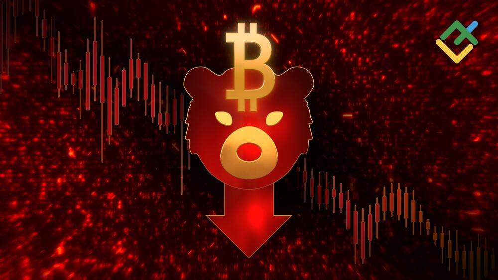 LiteFinance: What to Do During a Crypto Bear Market