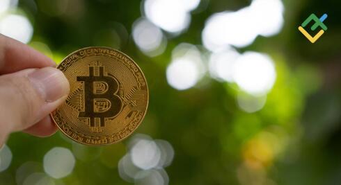 Cryptocurrency Fundamental Analysis