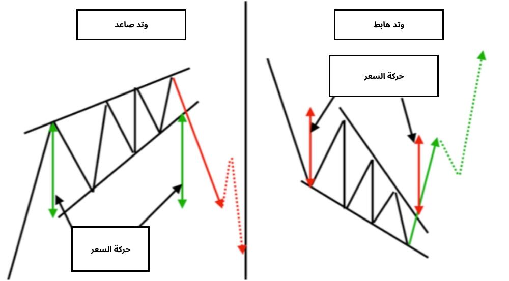 LiteFinance: الوتد