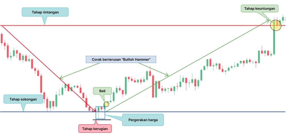 LiteFinance: Bullish Hammer