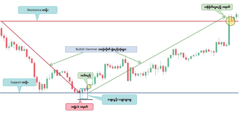 LiteFinance: Bullish Hammer