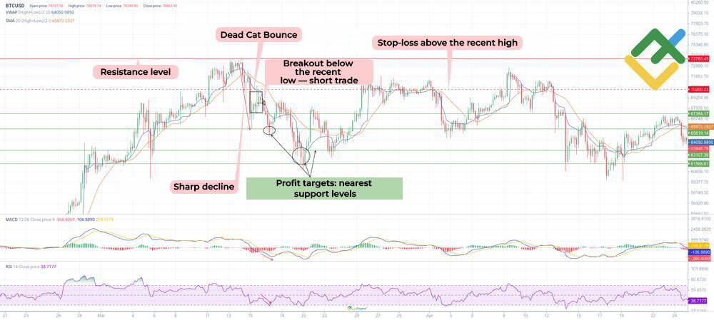 LiteFinance: How to Trade a Dead Cat Bounce