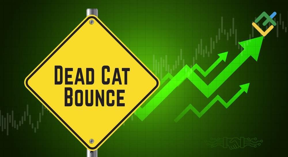 What a Dead Cat Bounce Pattern Really Means for Traders in 2026 | LiteFinance