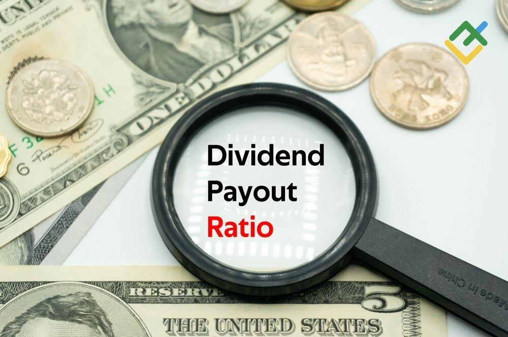 LiteFinance: Dividend Yield vs Dividend Payout Ratio