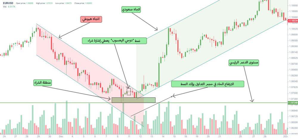 LiteFinance: كيف تتشكل شمعة دوجي اليعسوب؟