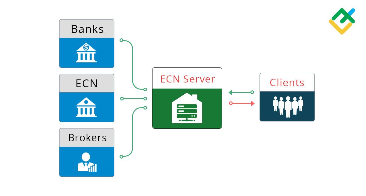 LiteFinance: ECN (Electronic Communication Network) Guide | ECN Brokers & Trades in Forex | LiteFinance