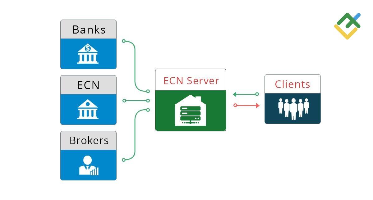 LiteFinance: Understanding How ECN Works