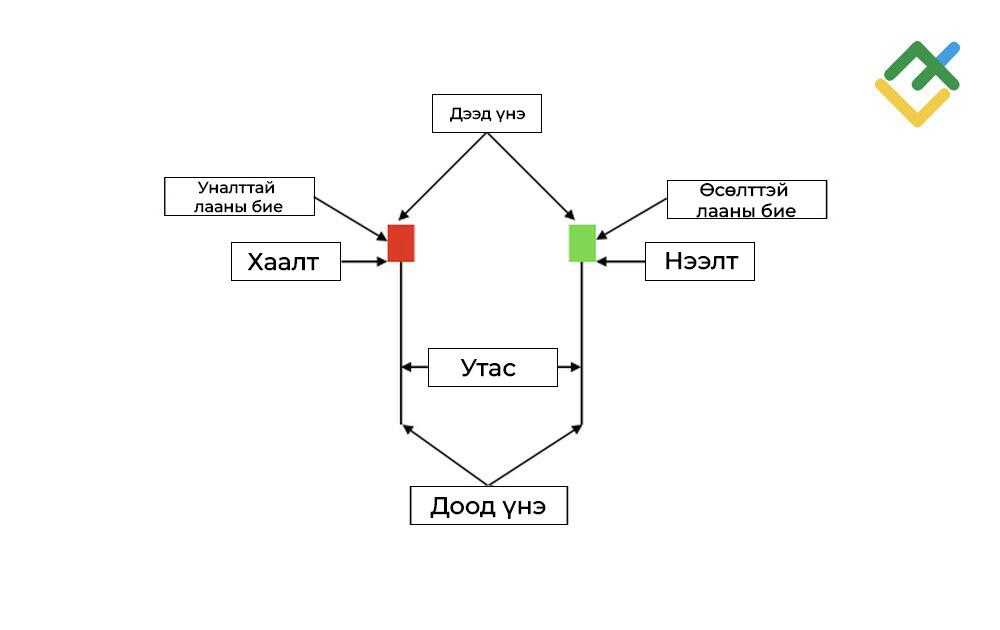LiteFinance: Hammer лааны бүрэлдэхүүн хэсгүүд