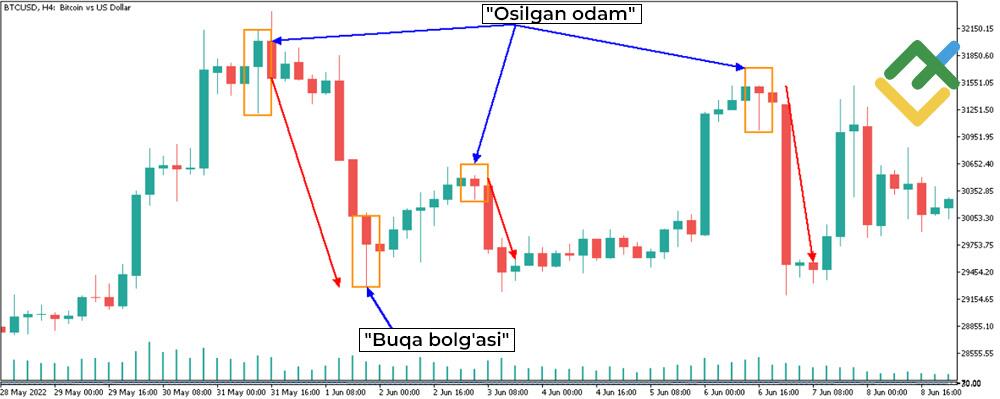 LiteFinance: "Ayiq bolg‘asi"