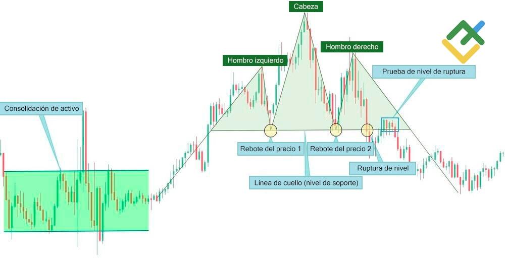 LiteFinance: Proceso de formación