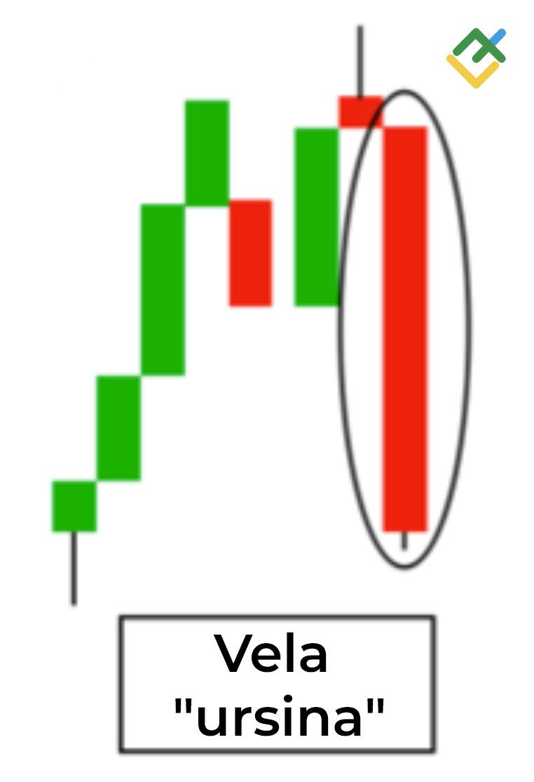 LiteFinance: Vela "ursina"