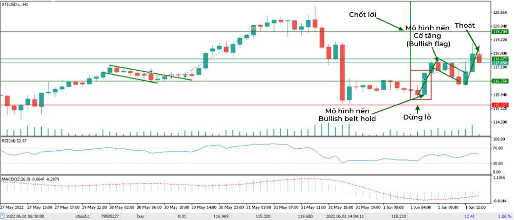 LiteFinance: Các ví dụ của biểu đồ nến giao dịch trong Forex