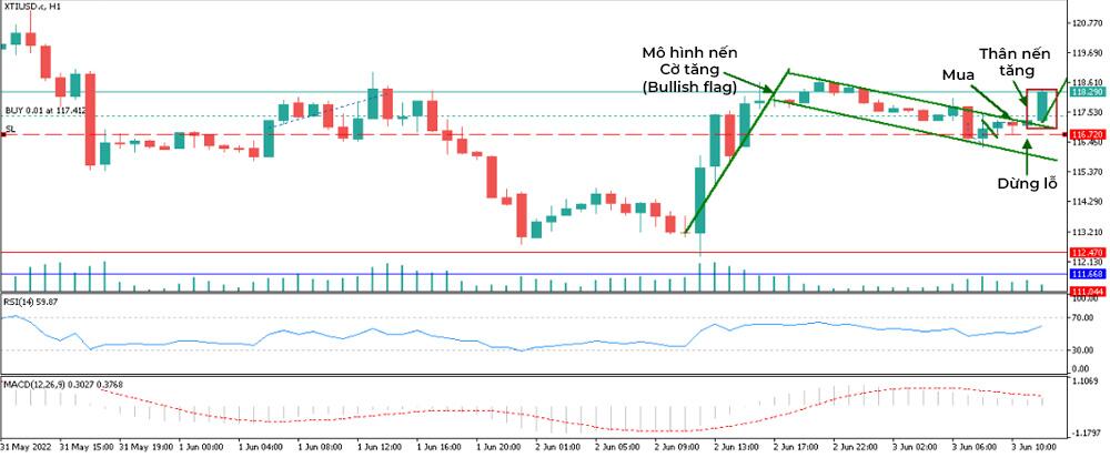 LiteFinance: Các ví dụ của biểu đồ nến giao dịch trong Forex