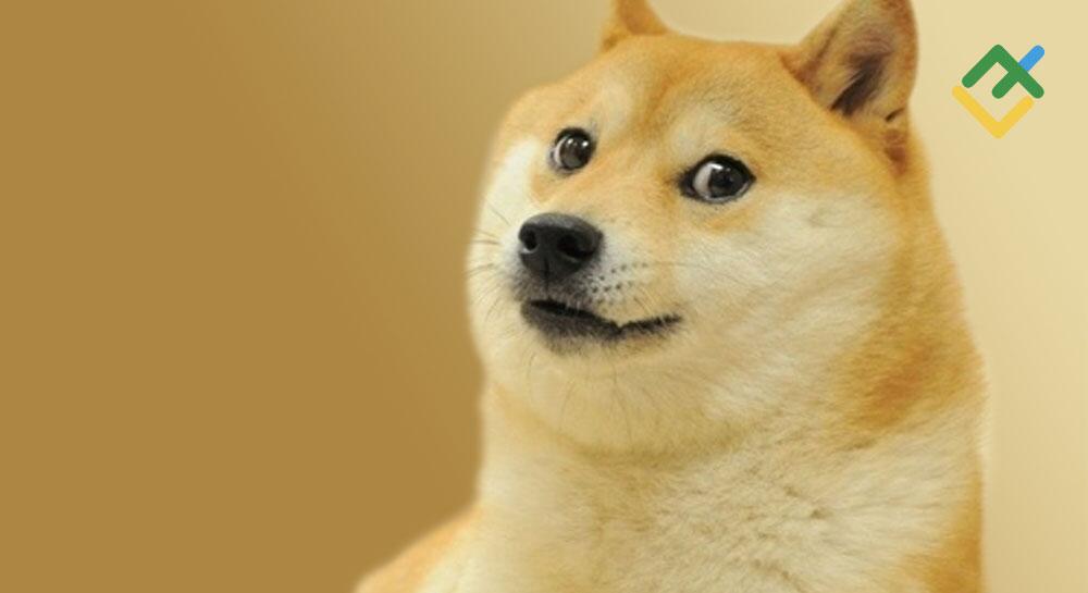 LiteFinance: Что влияет на цену Dogecoin?
