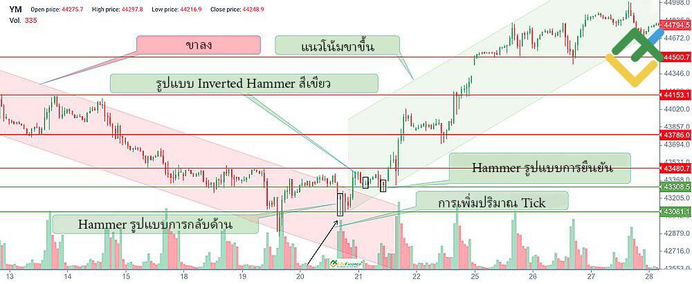 LiteFinance: Inverted Hammer สีเขียวบอกอะไรได้บ้าง?