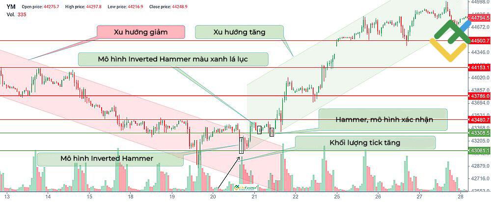LiteFinance: Nến Inverted Hammer màu xanh lá cho thấy điều gì?