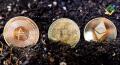 Is Crypto Dead? A 2026 Reality Check