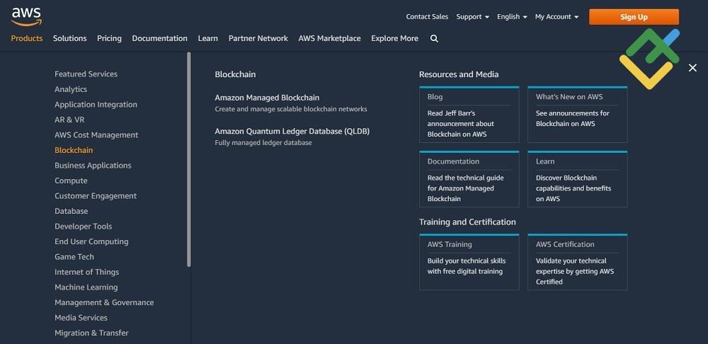 LiteFinance: Cryptocurrencies and dot-coms