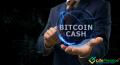 Apa yang Diharapkan dari Hard Fork Bitcoin Cash