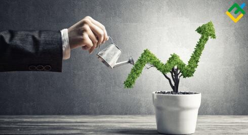 Najszybciej rosnące akcje 2019 roku