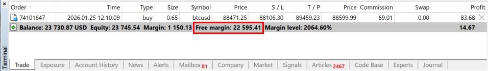 LiteFinance: Free Margin vs Used Margin: Key Differences