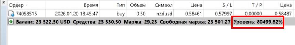 LiteFinance: Понимание процента уровня маржи