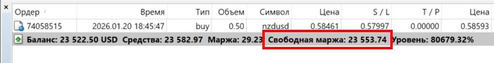 LiteFinance: Свободная маржа vs используемая маржа: ключевые различия
